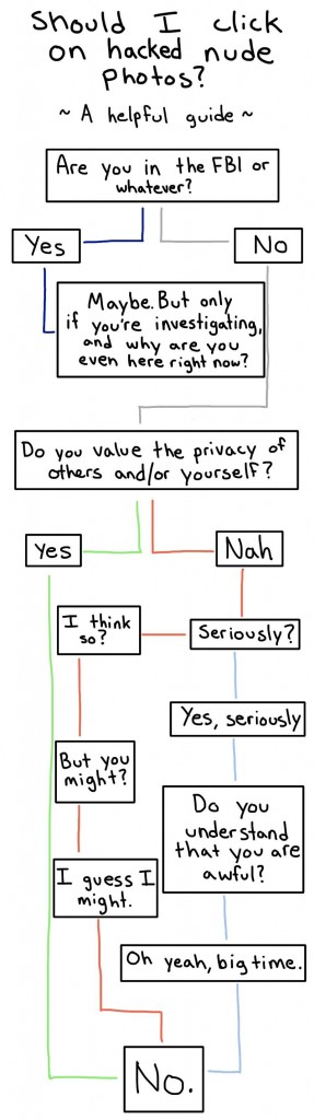 nude-hack-flowchart-2